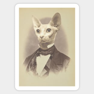 Gentleman Sphynx Cat - Pet Gift Sticker